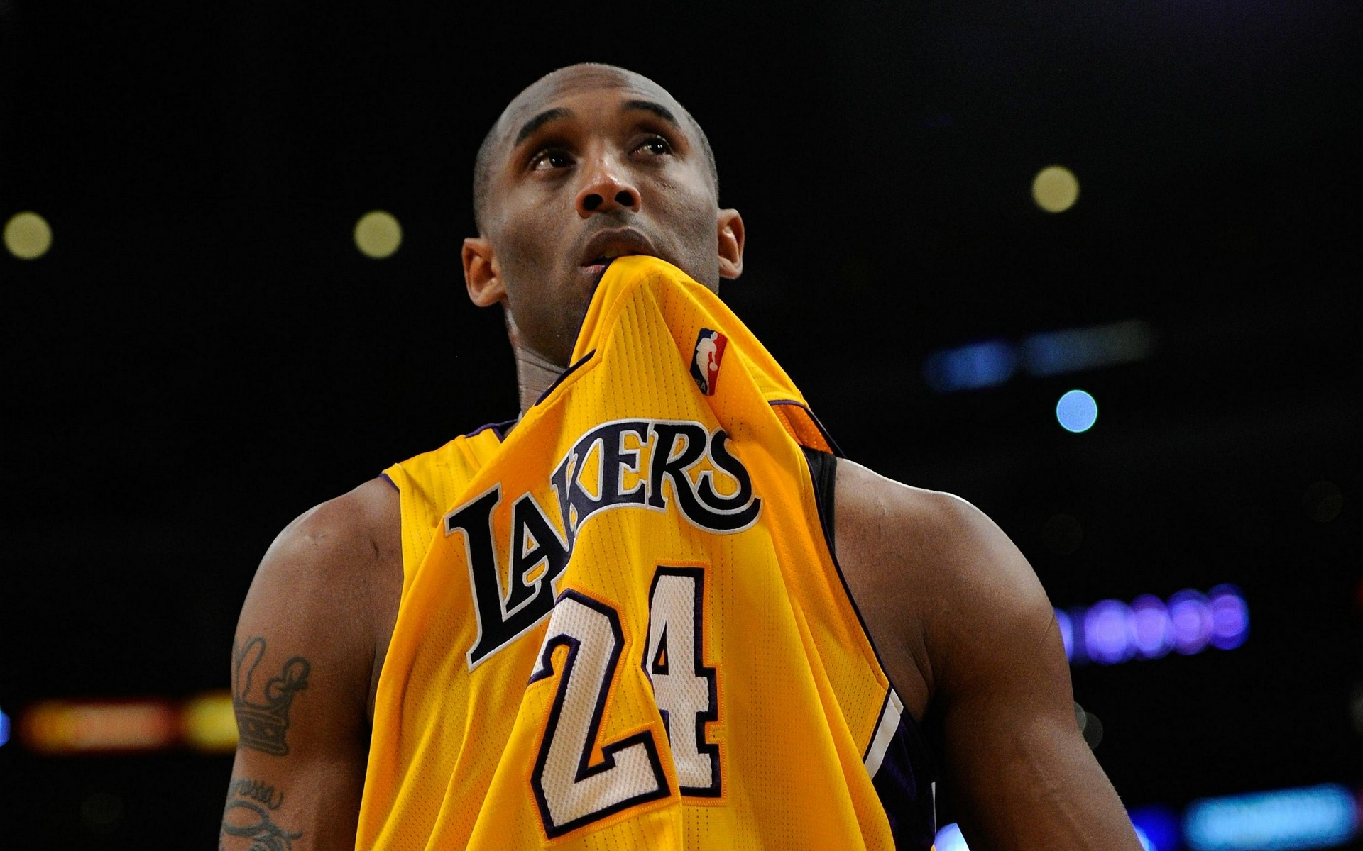 仅在印尼国 仅在印尼国